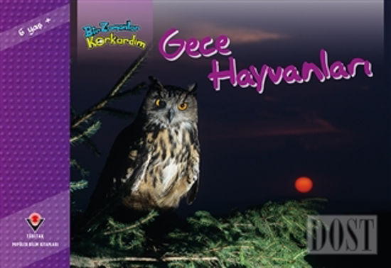 Bir Zamanlar Korkardım - Gece Hayvanları